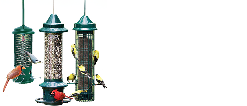 Squirrel Feeders
