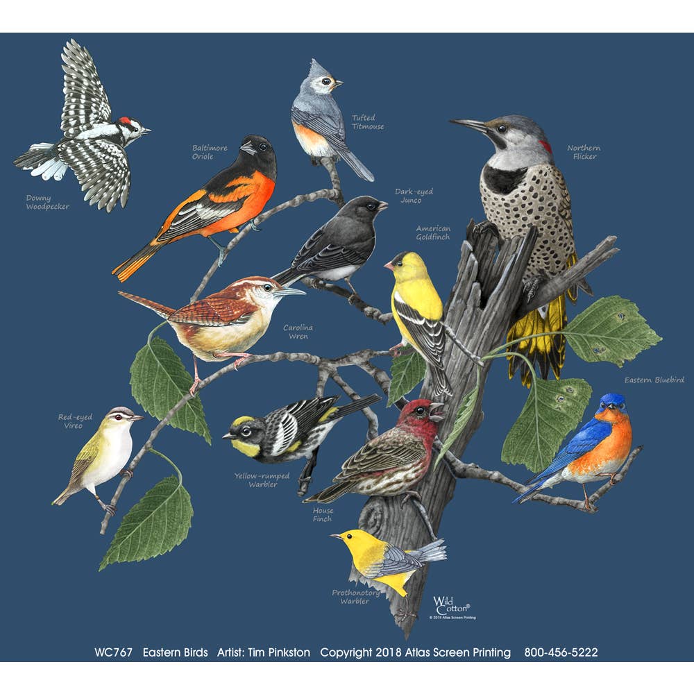 Eastern Birds 100% Cotton Bird T-Shirt - Small