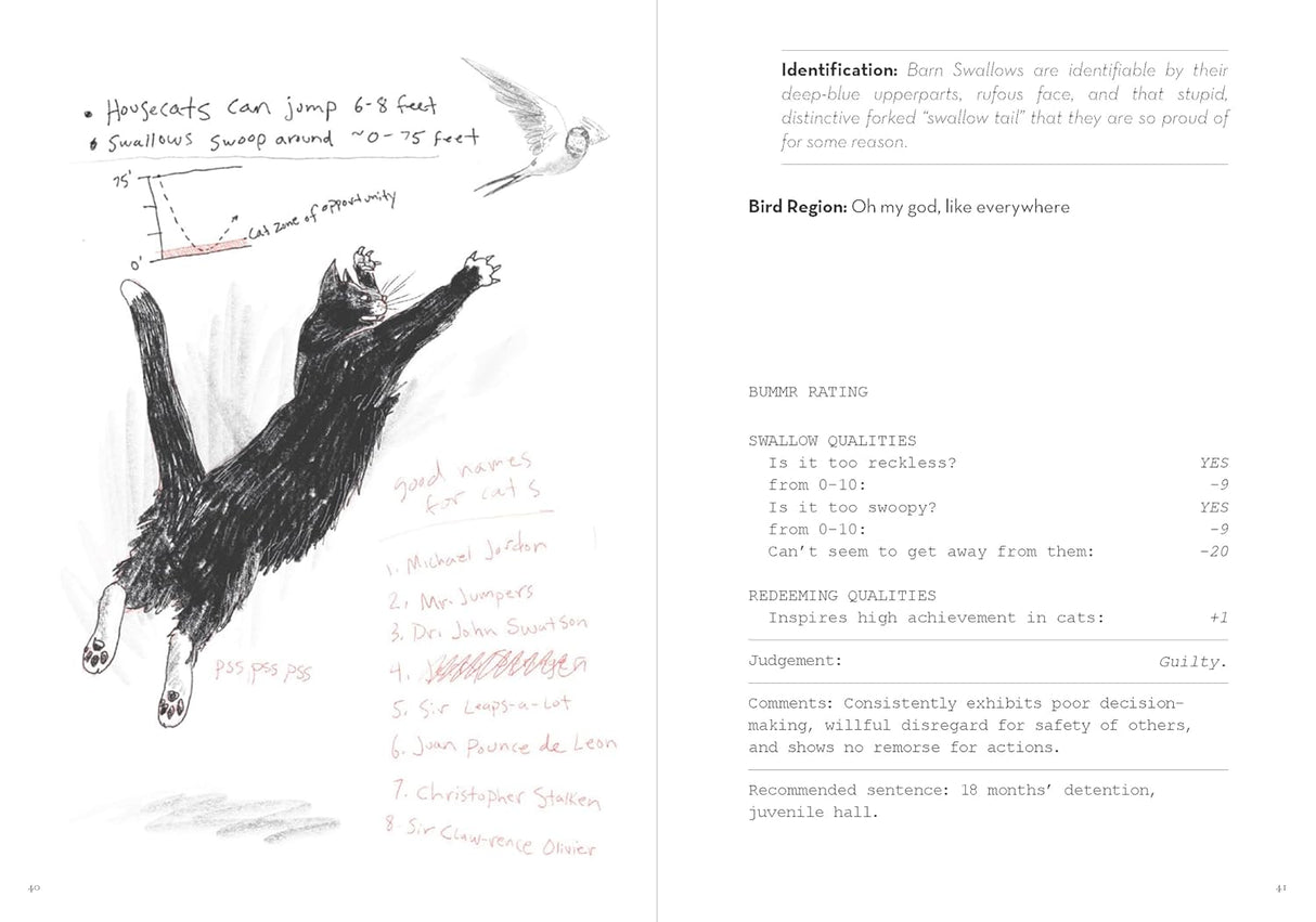 A Dumb Birds Field Guide to the Worst Birds Ever