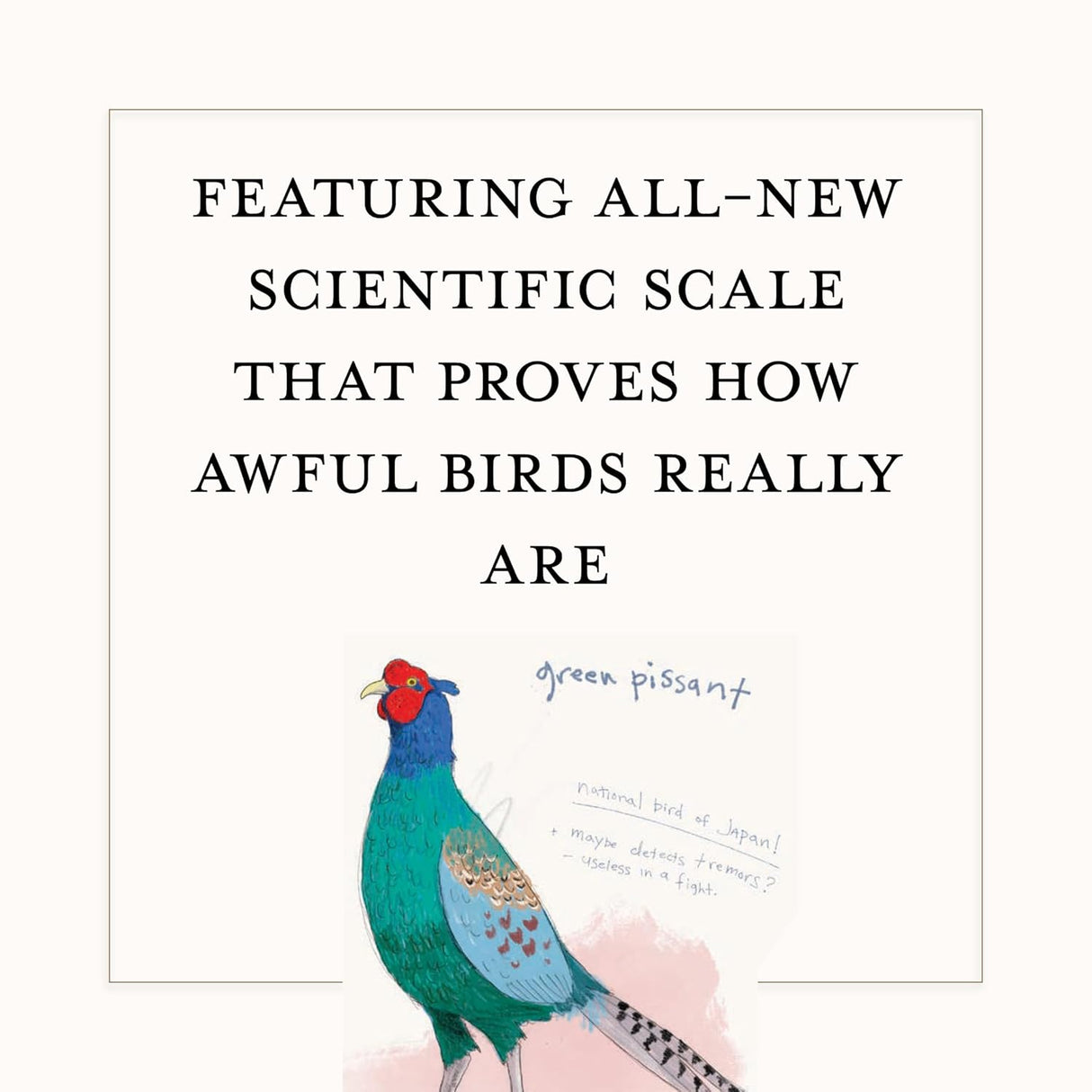 A Dumb Birds Field Guide to the Worst Birds Ever