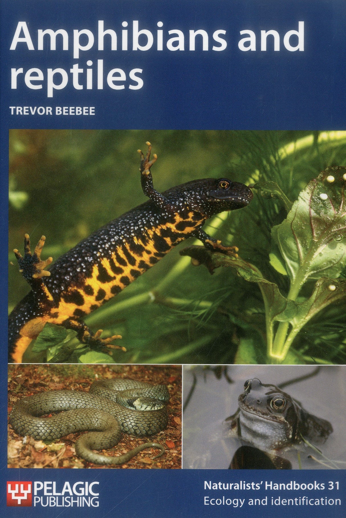 Amphibians & Reptiles
