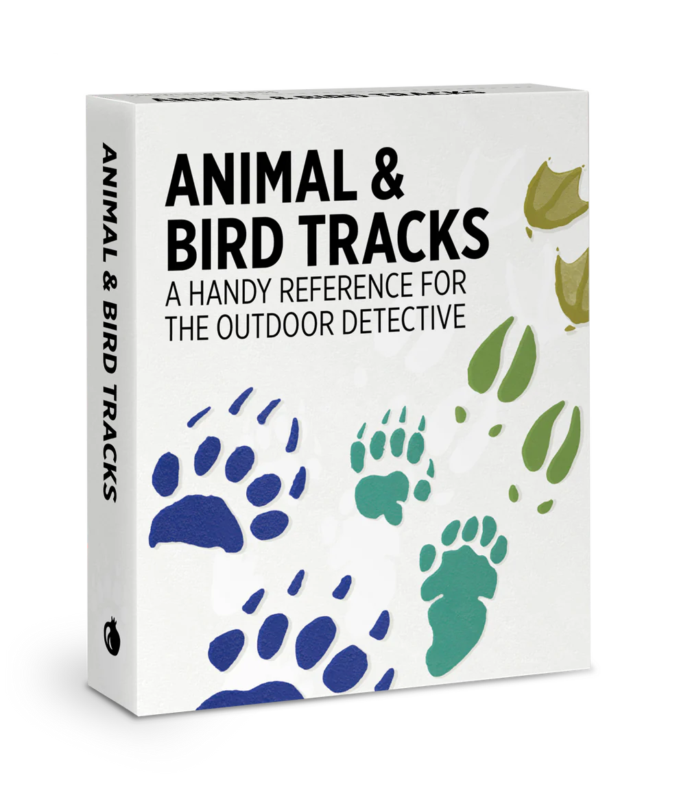 Animal & Bird Tracks: A Handy Reference for the Outdoor Detective Knowledge Cards
