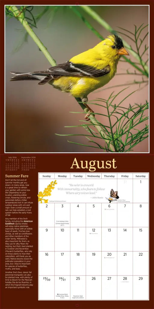 Audubon Birds in the Garden Wall Calendar 2026