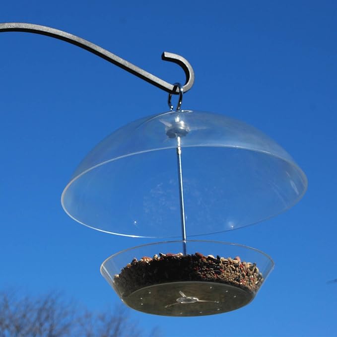 Audubon Dome Top Seed and Bluebird Feeder