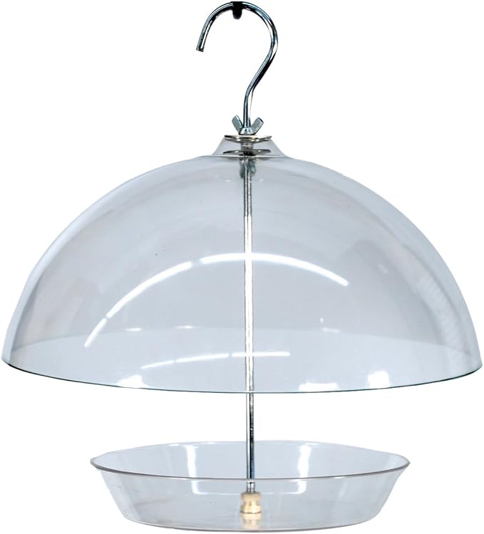 Audubon Dome Top Seed and Bluebird Feeder