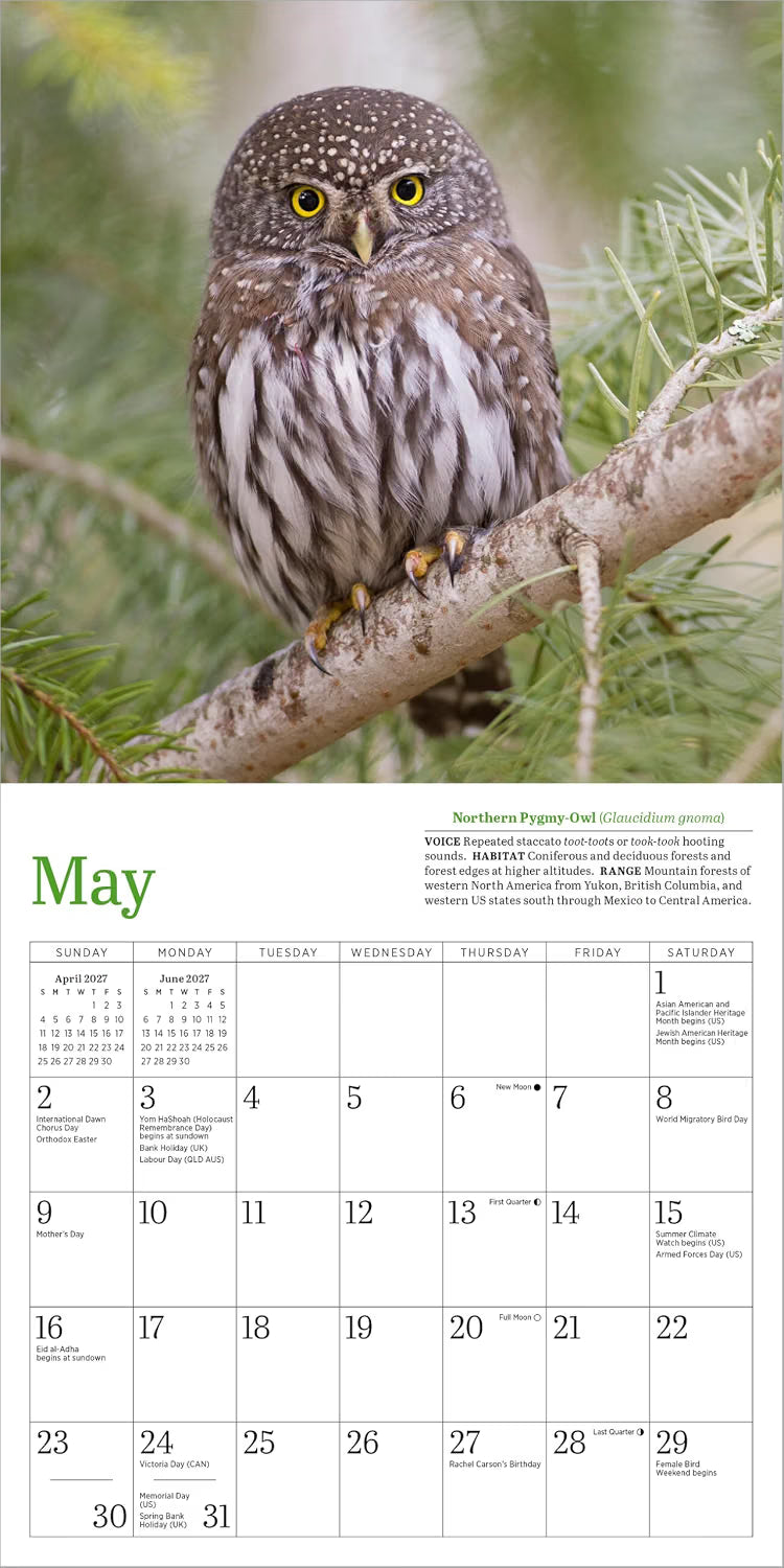Audubon Little Owls Mini Wall Calendar 2027