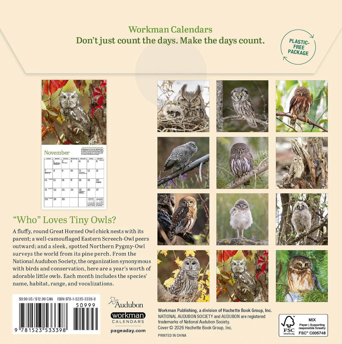 Audubon Little Owls Mini Wall Calendar 2027