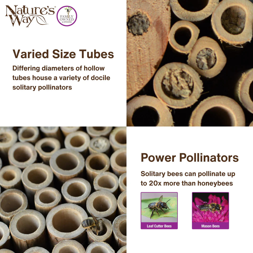 Better Gardens Pollinator House, Teal