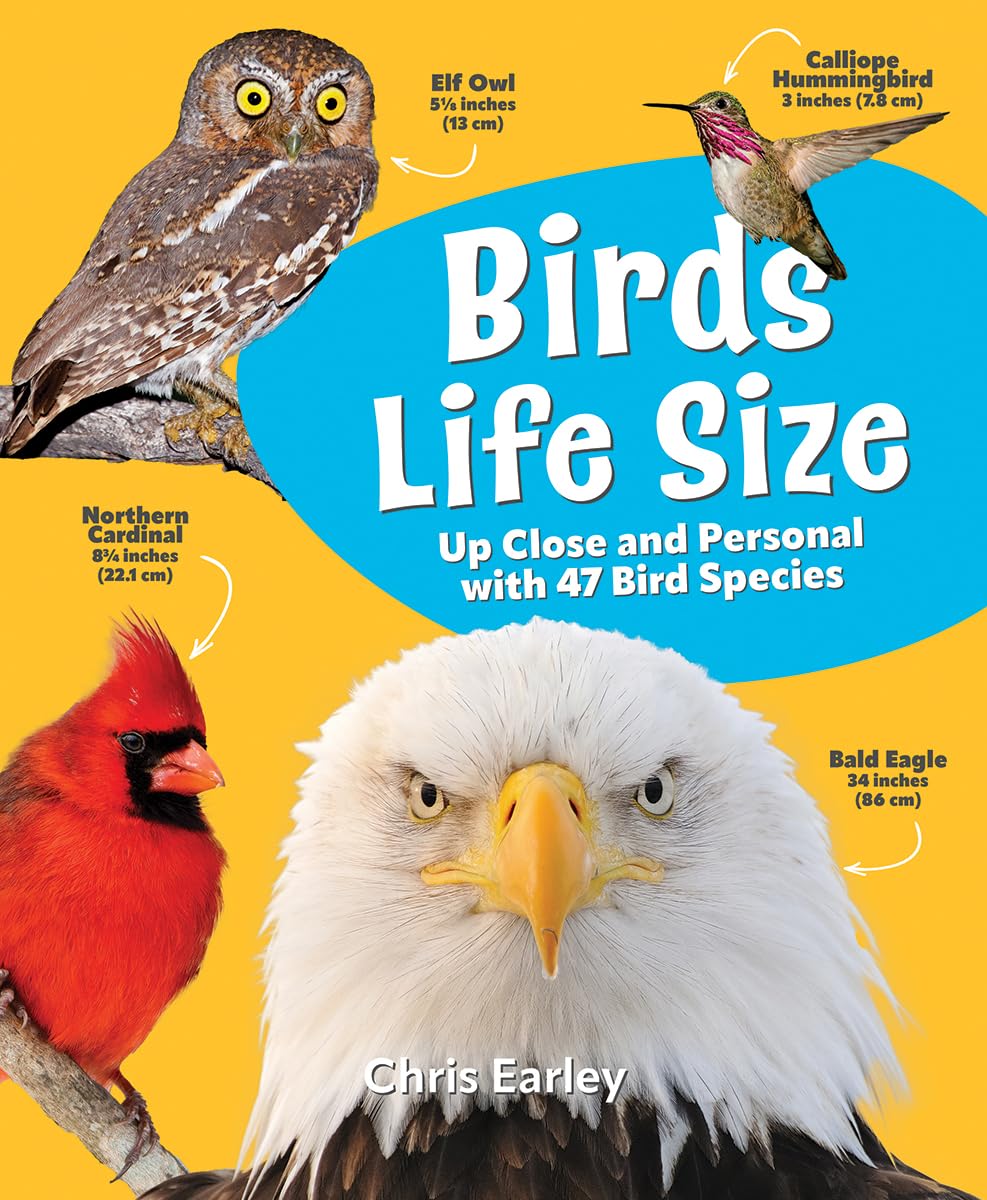 Birds Life Size, Up Close and Personal with 47 Bird Species