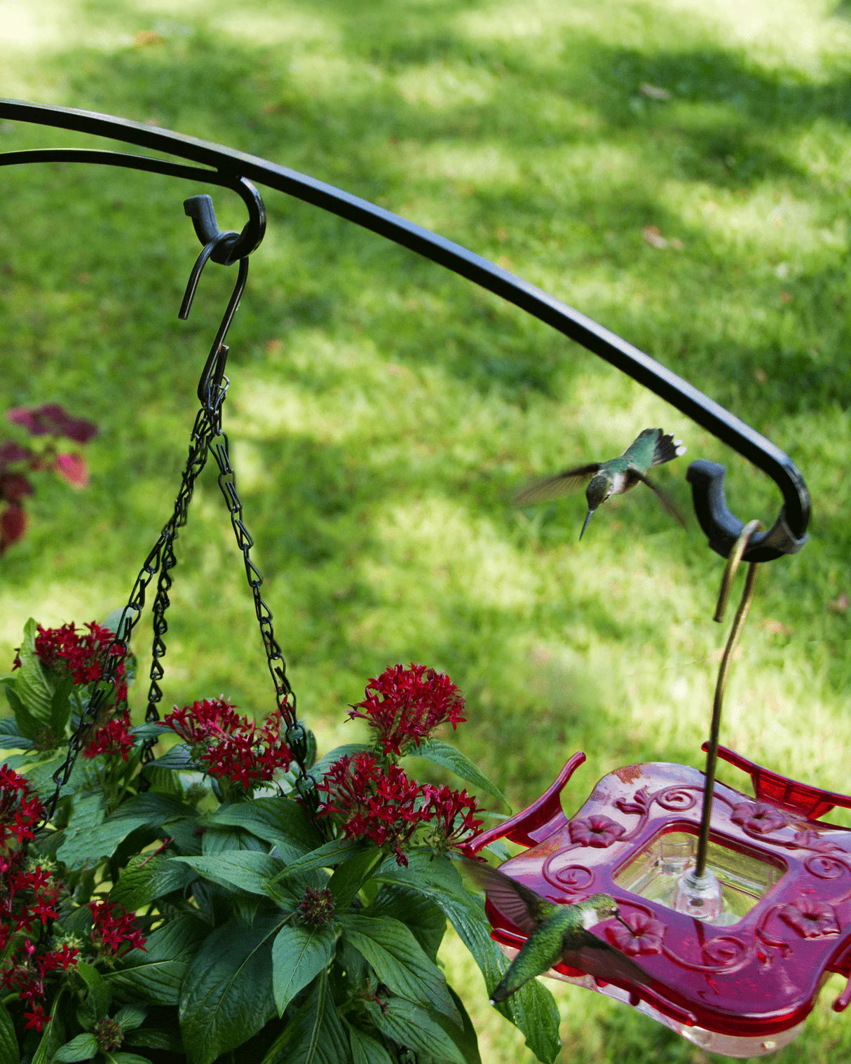 BirdsUp 25-Inch Hanging Bracket