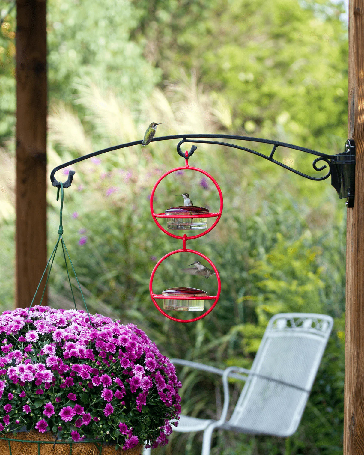 BirdsUp 25-Inch Hanging Bracket