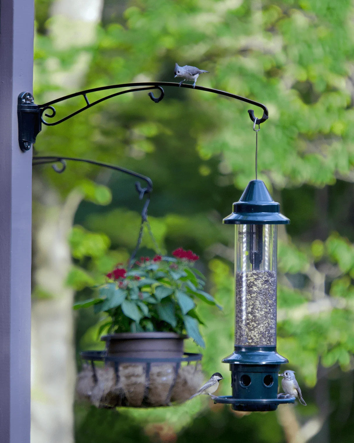 BirdsUp 25-Inch Hanging Bracket