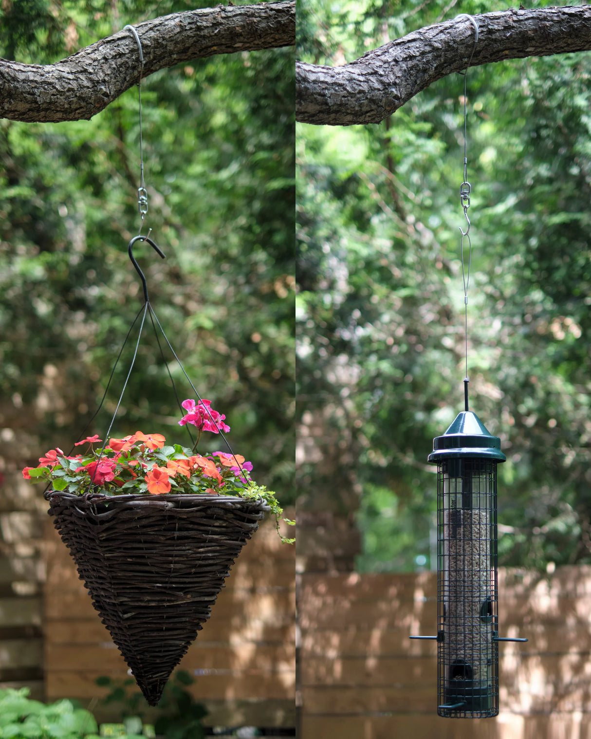 Birds Up Hanging Cable, 20-Inch