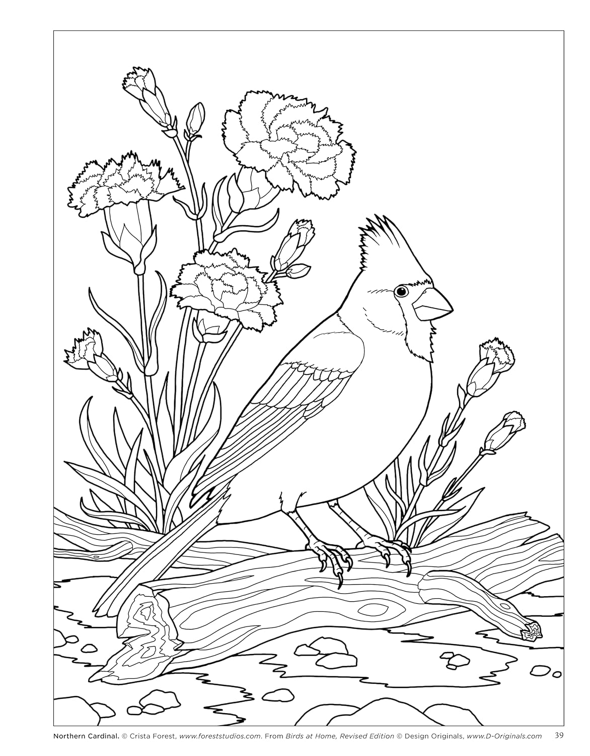 Birds at Home Coloring Book, Revised Edition