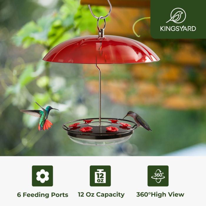 Black Hummingbird Tray Feeder with Red Weatherproof Dome & Ant Moat