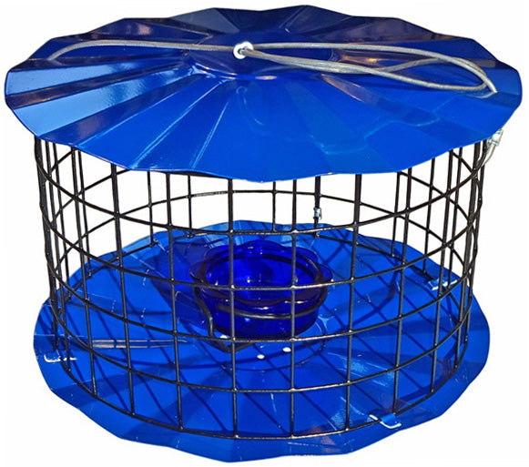 Buy Bluebird Meal Worm Feeder, Blue Online With Canadian Pricing