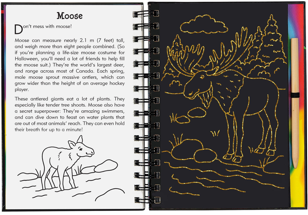 Canada Scratch and Sketch