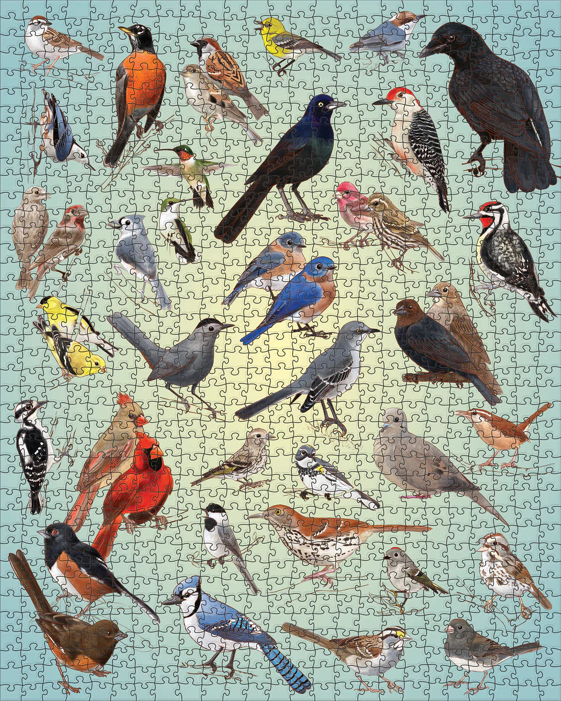 Casey Girard Backyard Birds 1000-Piece Jigsaw Puzzle