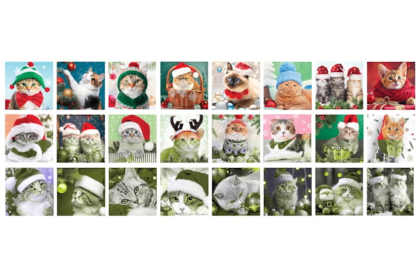 Christmas Whiskers Advent Calendar