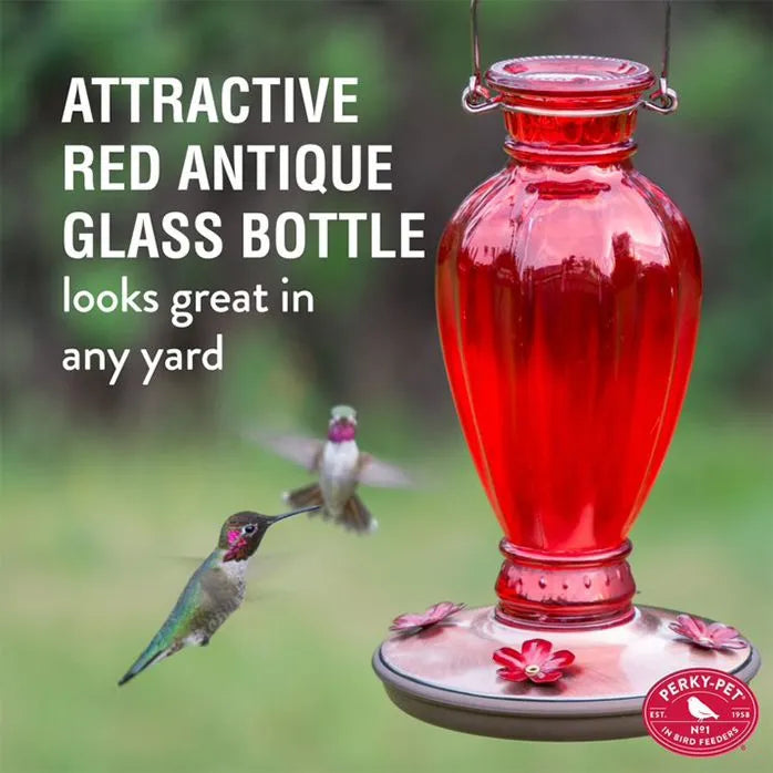 Daisy Vase Vintage Glass Hummingbird Feeder