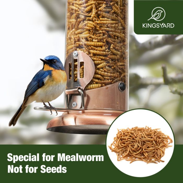 Extra Sturdy Tube Bluebird Mealworm Feeder, Antique Copper