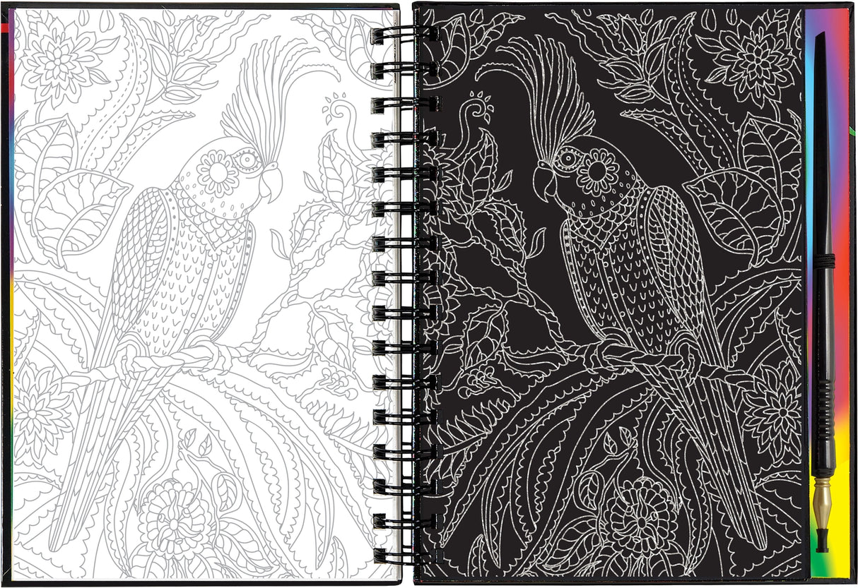 Extreme! the World of Birds Scratch and Sketch