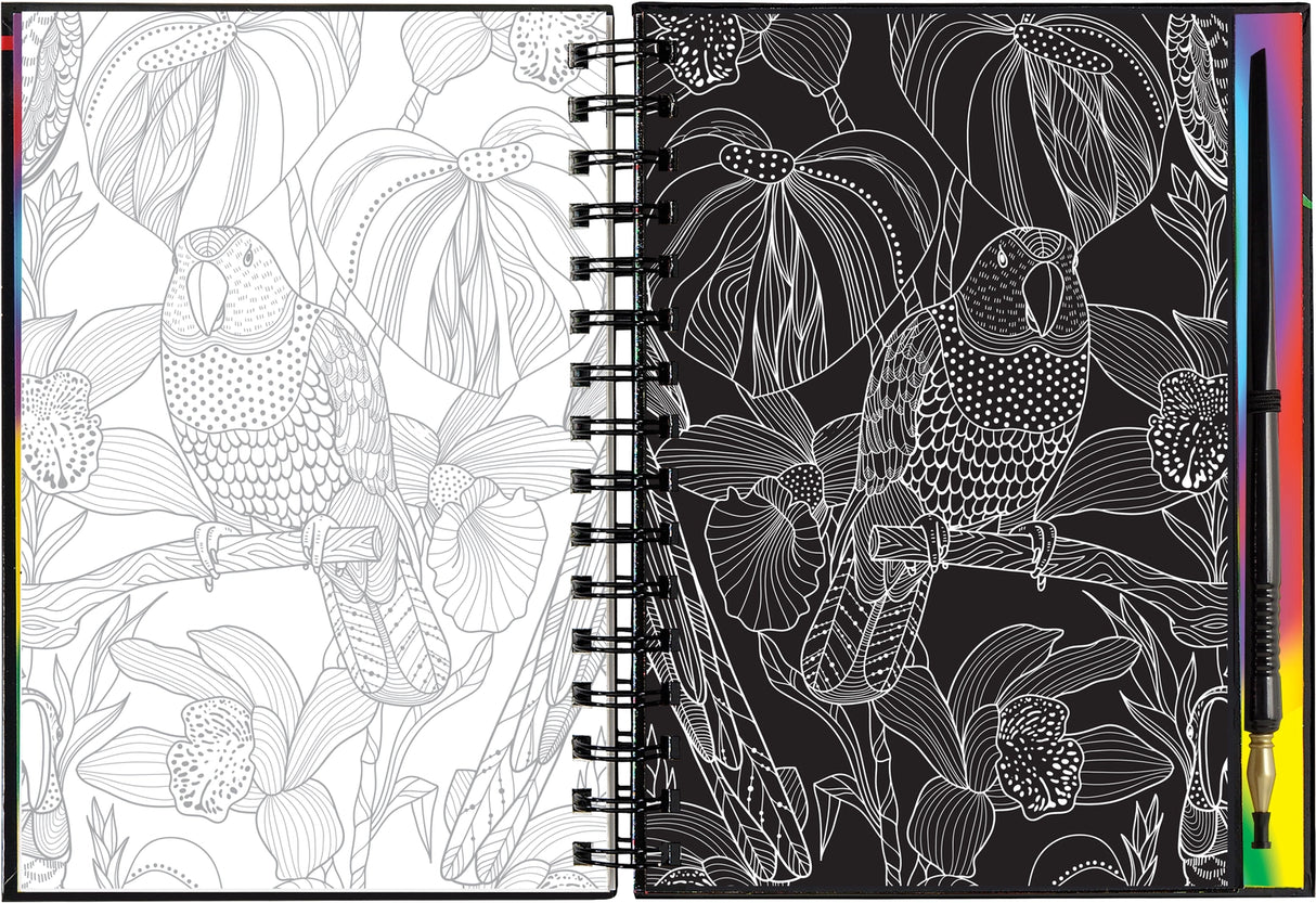 Extreme! the World of Birds Scratch and Sketch