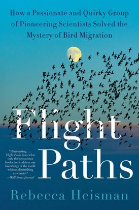 Flight Paths, Rebecca Heisman