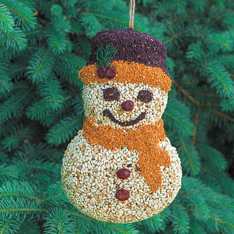 Frosty Snowman With Hanger and Net