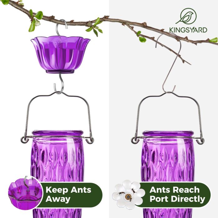 Glass Hummingbird Feeder with Ant Moat, Purple, 24oz