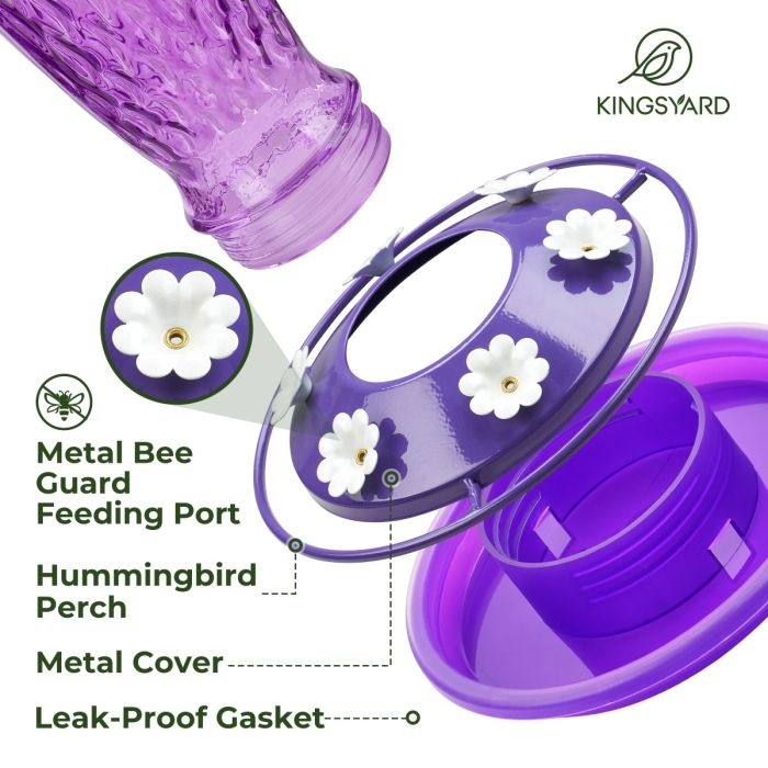 Glass Hummingbird Feeder with Ant Moat, Purple, 24oz