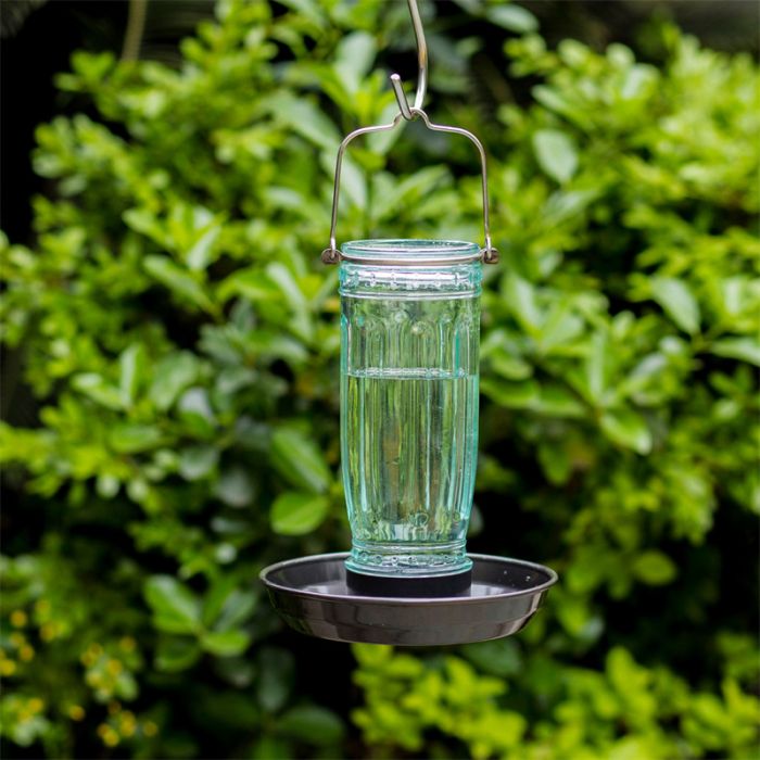 Glass Waterer Bird Feeder, Green