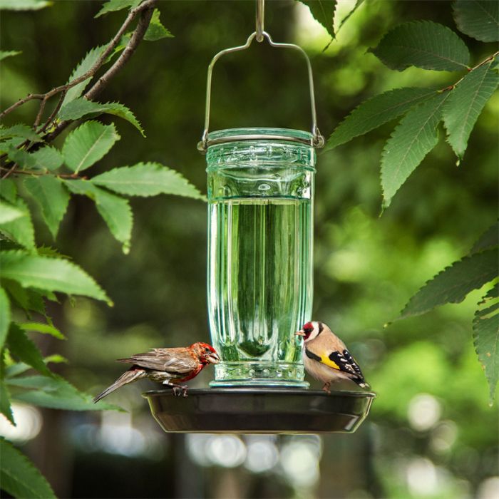 Glass Waterer Bird Feeder, Green