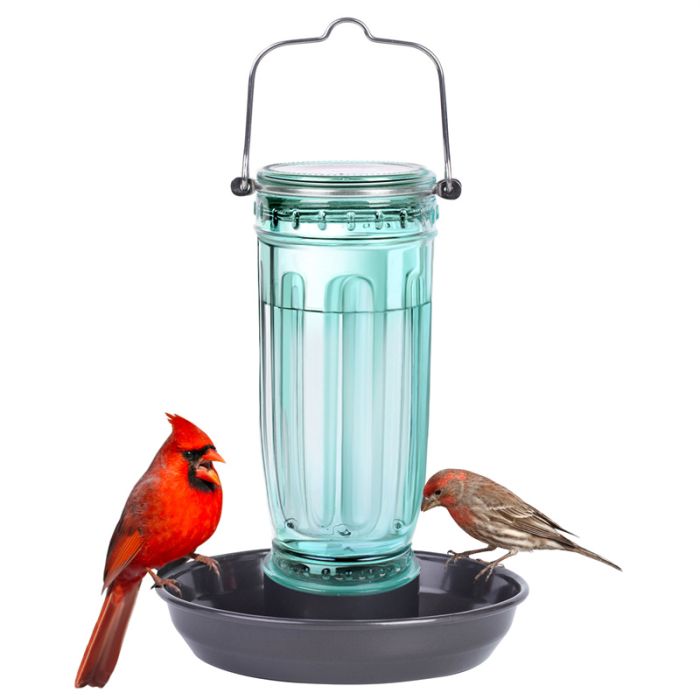 Glass Waterer Bird Feeder, Green
