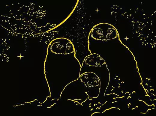 Glow in the Dark Owls in the Moonlight 500pc Jigsaw Puzzle