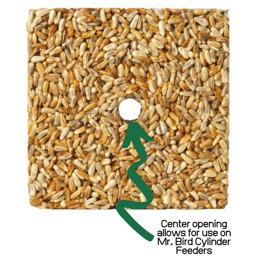 Golden Safflower Feast 4oz