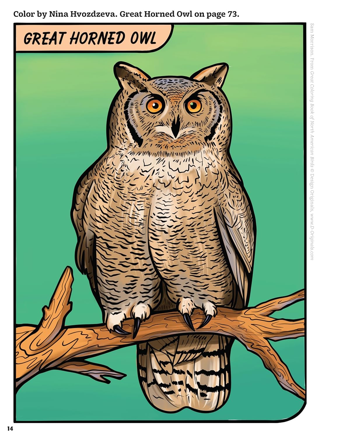 Great Coloring Book of North American Birds