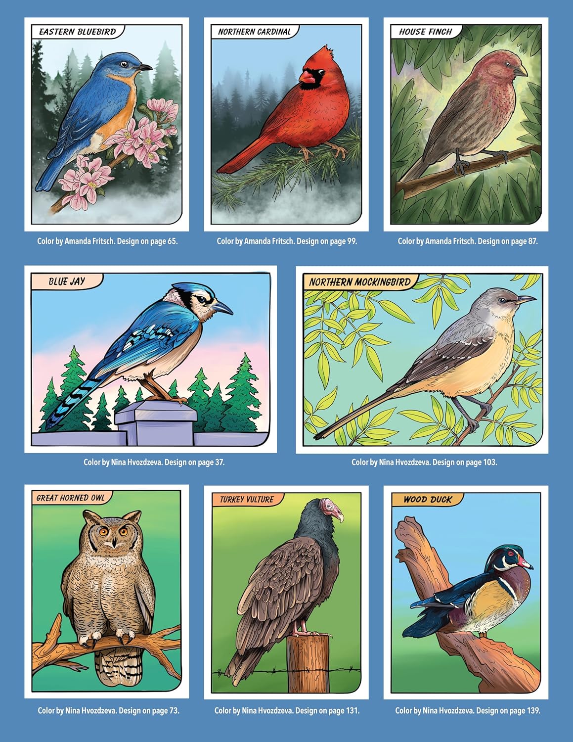 Great Coloring Book of North American Birds