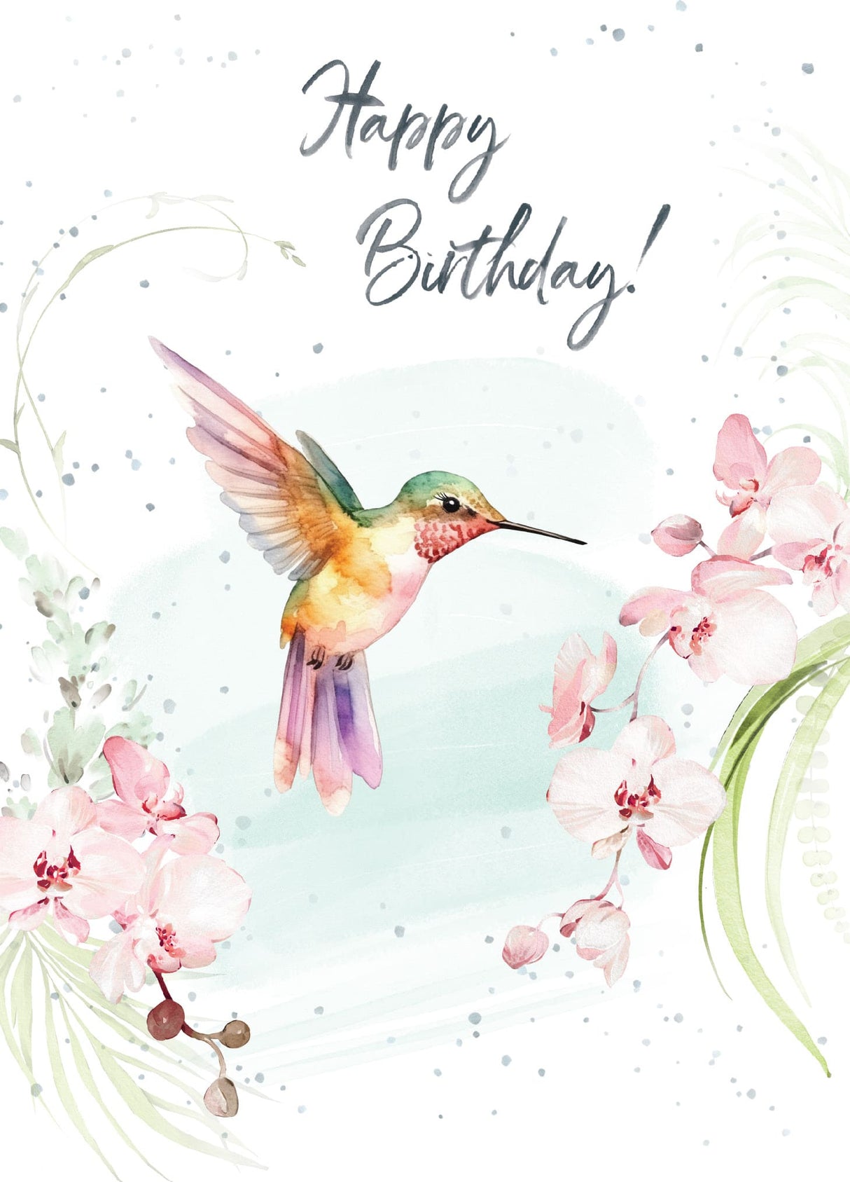 Hummingbird Orchids Birthday Card