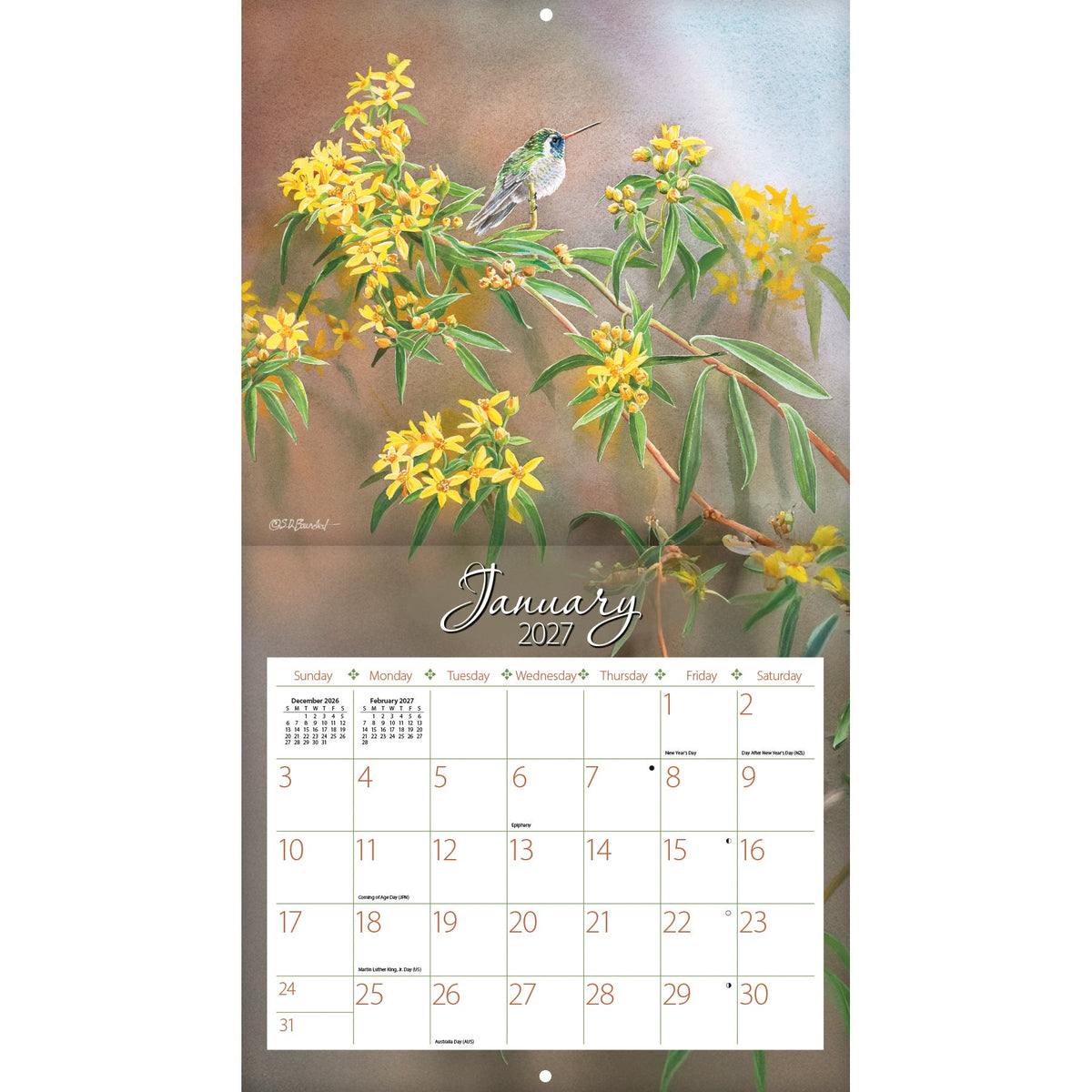 Hummingbirds 2027 Calendar