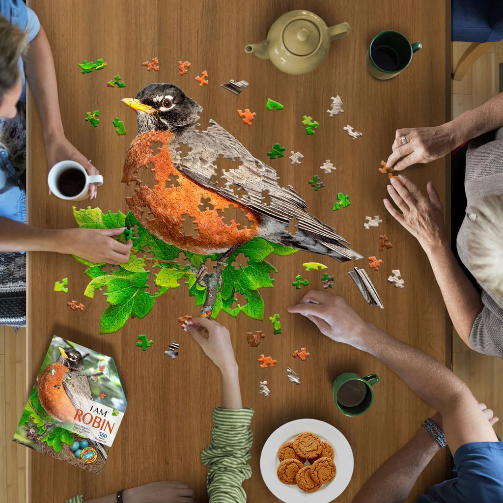 I Am Robin 300pc Puzzle