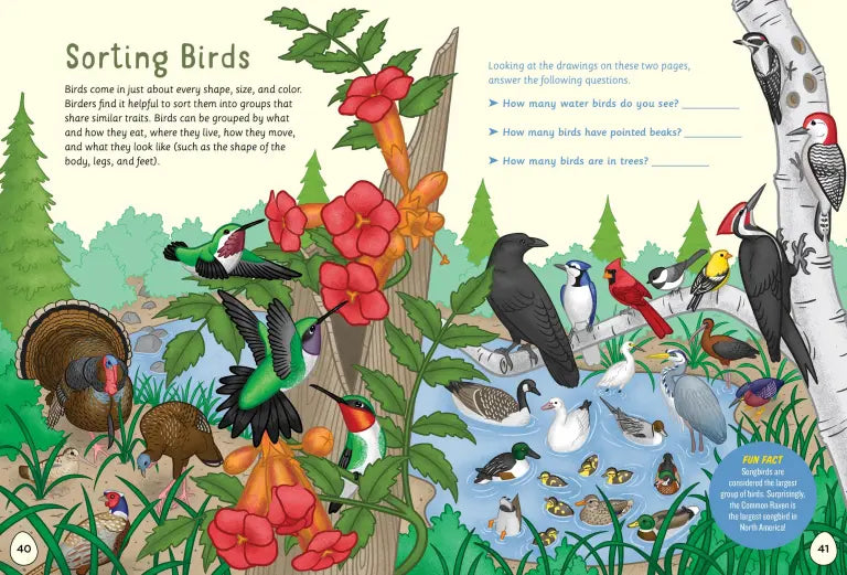 I Love Birds Activity Book