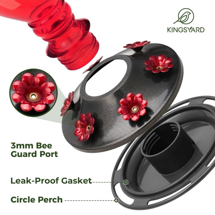 Leak Proof Glass Hummingbird Feeder with Ant Moat, 24oz, Red and Blue