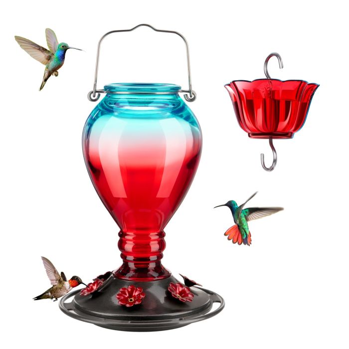 Leak Proof Glass Hummingbird Feeder with Ant Moat, 24oz, Red and Blue
