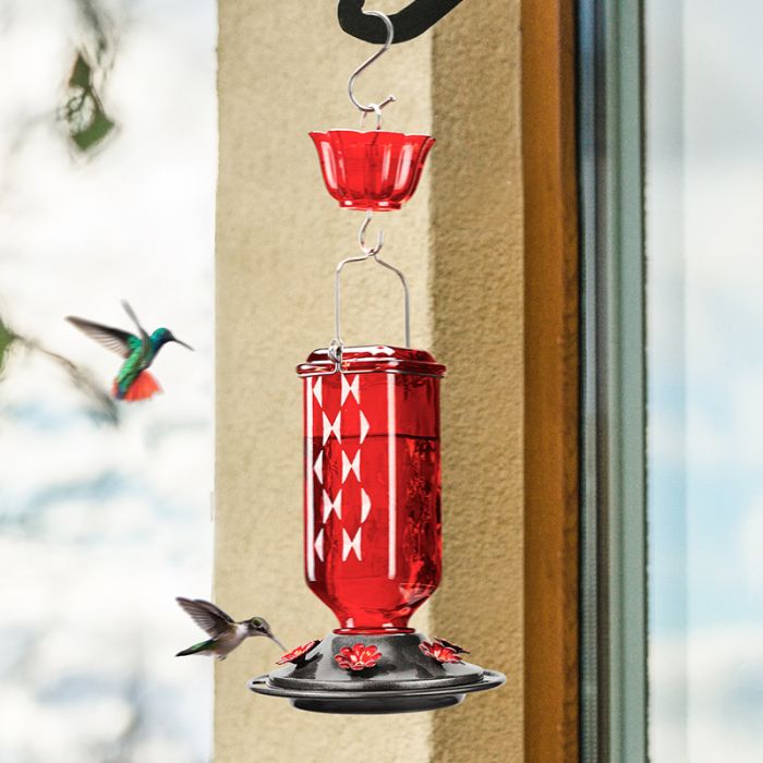Leak Proof Glass Hummingbird Feeder with Ant Moat and Six Feeding Ports, Red, 24oz
