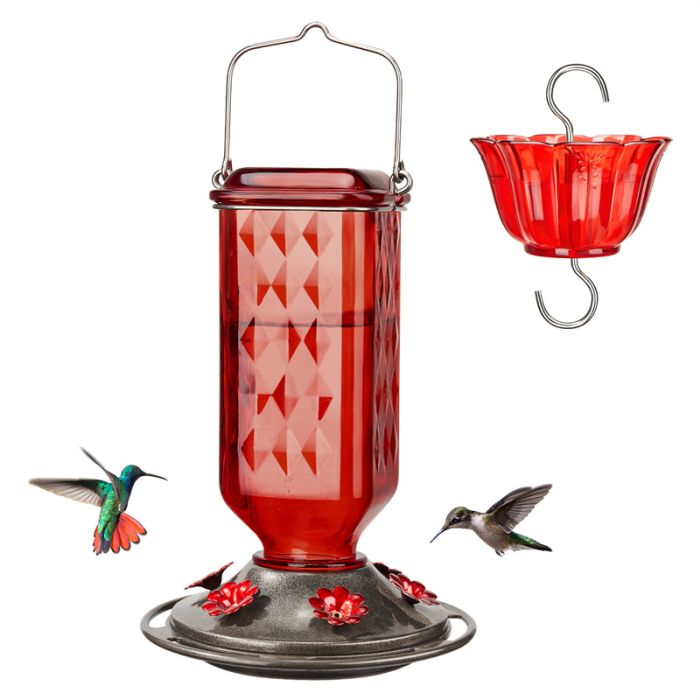 Leak Proof Glass Hummingbird Feeder with Ant Moat and Six Feeding Ports, Red, 24oz