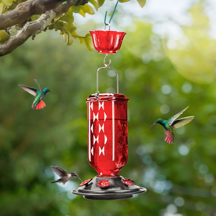 Leak Proof Glass Hummingbird Feeder with Ant Moat and Six Feeding Ports, Red, 24oz