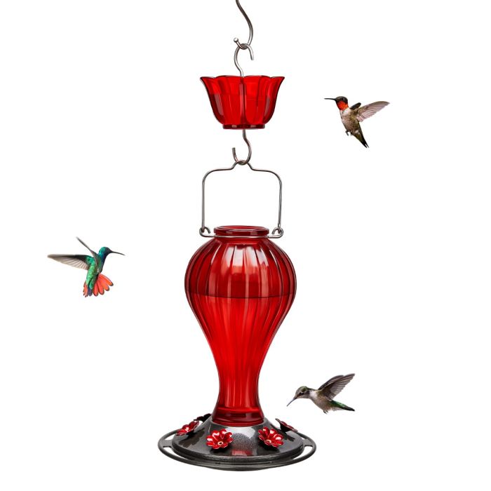 Leak Proof Glass Hummingbird Feeder with Ant Moat, Red, 24oz