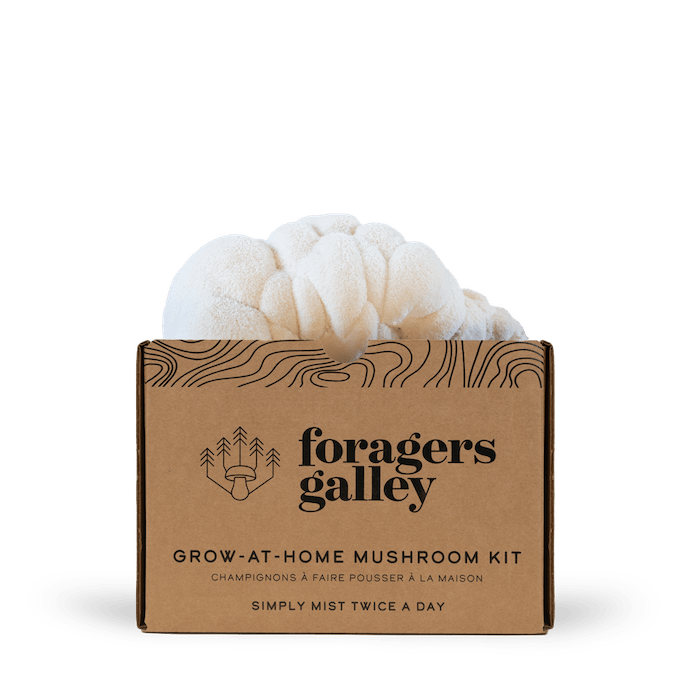 Lion's Mane Grow At Home Mushroom Growing Kit