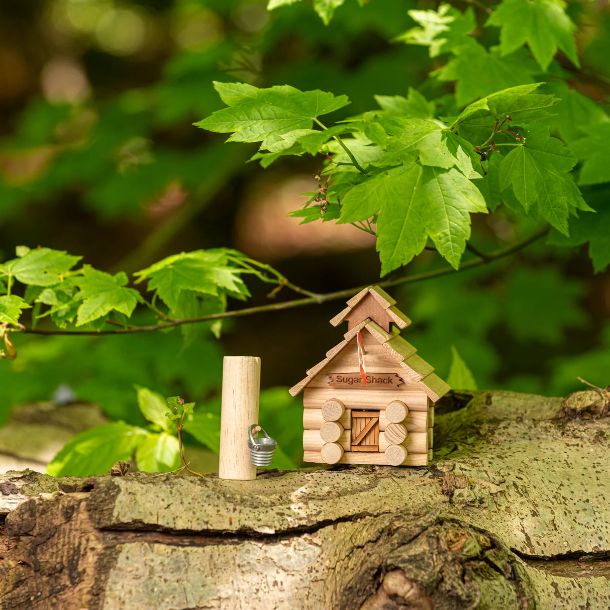Log Cabin Sugar Shack Birdhouse